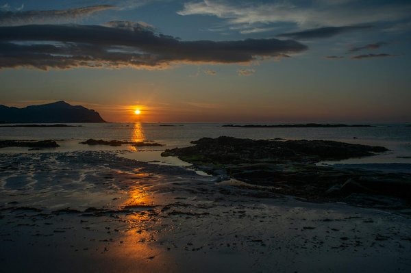 Les Avantages d'un Emplacement Sous les Arbres en Camping avec Votre Animal de Compagnie : Astuces Indispensables pour des Vacances Inoubliables